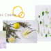 organic cosme